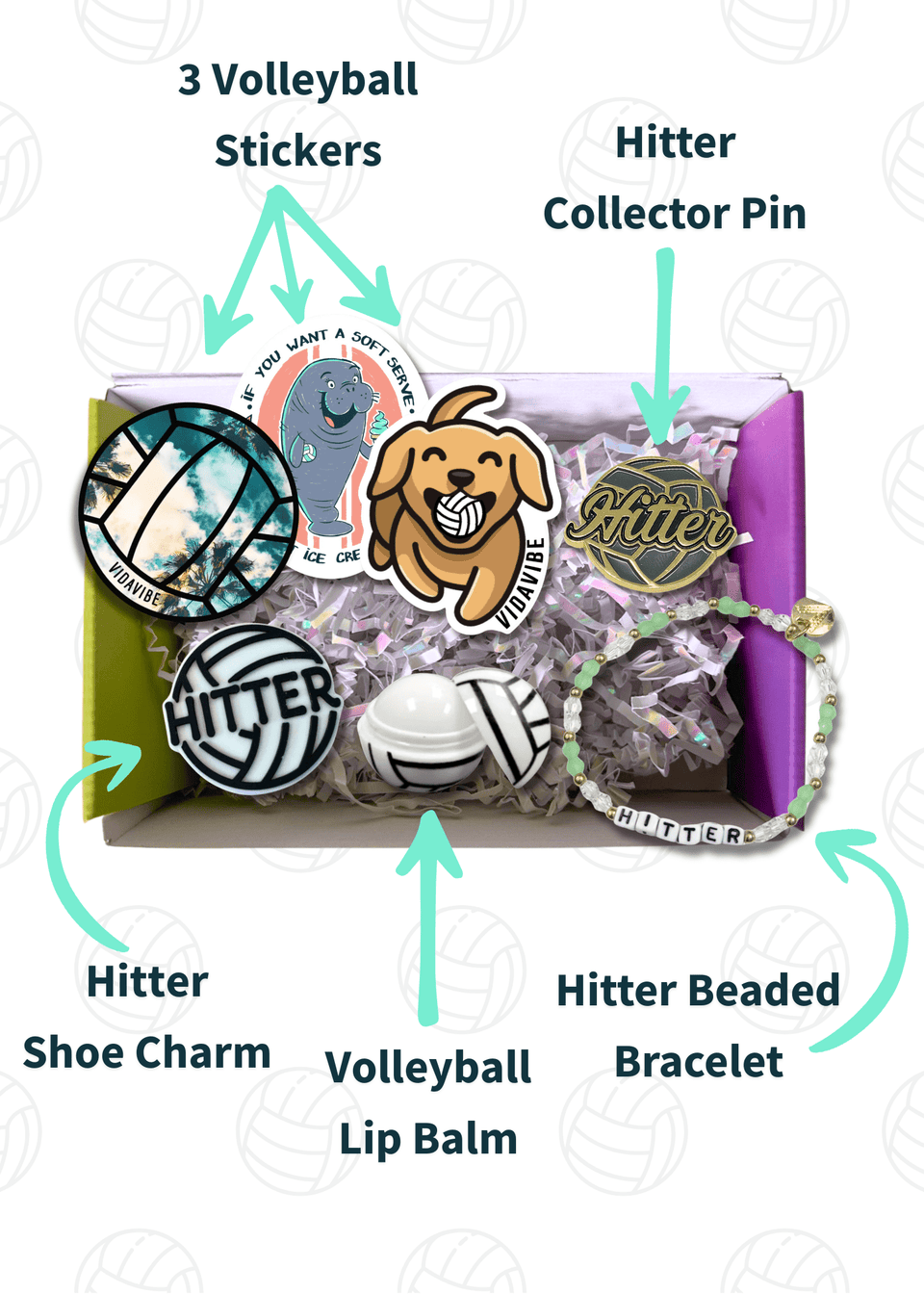 Hitter Volleyball Gift Bundle